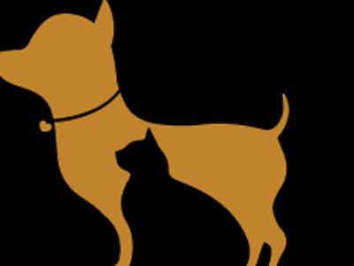 Heads Up For Tails Logo